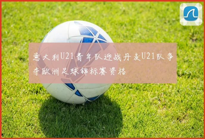 意大利U21青年队迎战丹麦U21队争夺欧洲足球锦标赛资格
