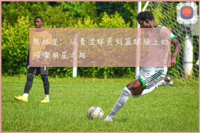 陈林坚：从青涩球员到篮球场上的璀璨明星之路