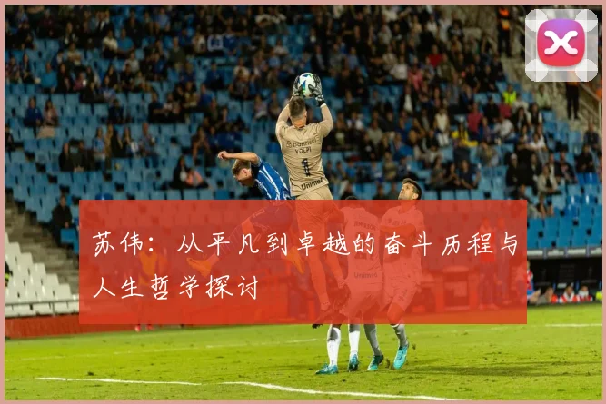 苏伟：从平凡到卓越的奋斗历程与人生哲学探讨