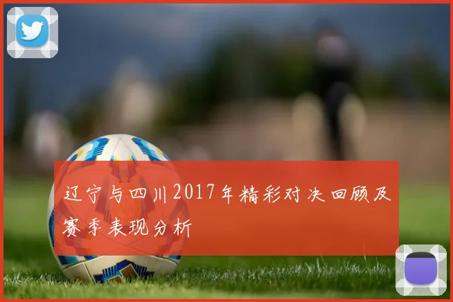 辽宁与四川2017年精彩对决回顾及赛季表现分析