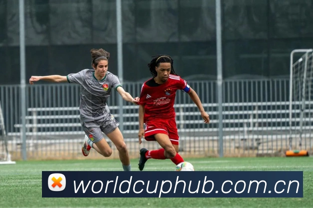 世界杯竞彩平台生态图